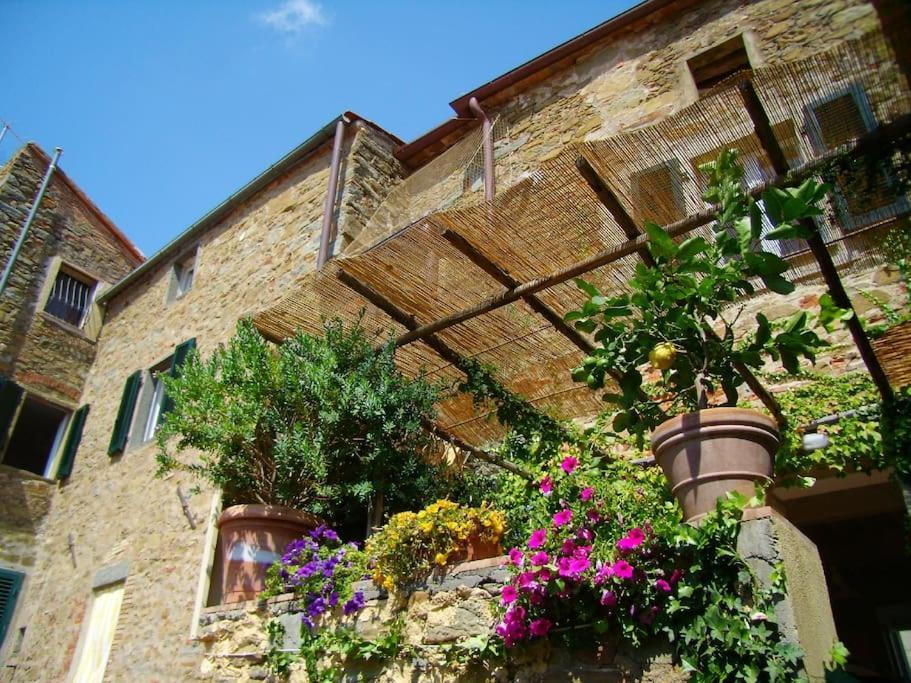 Near The Sea Big Panoramic House 2 Terraces In Lovely Village Montiano  Eksteriør bilde
